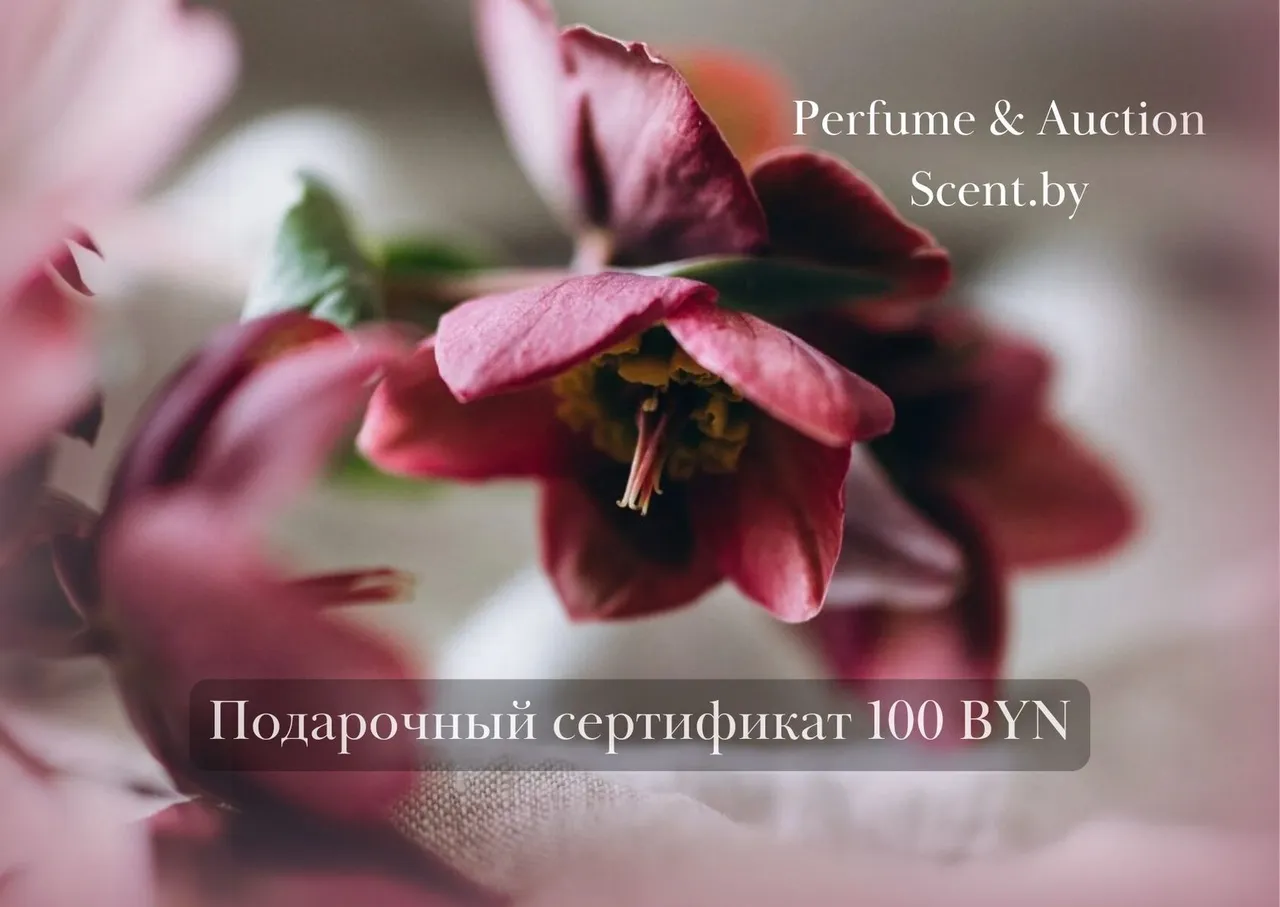 Подарочный сертификат 100 руб12693