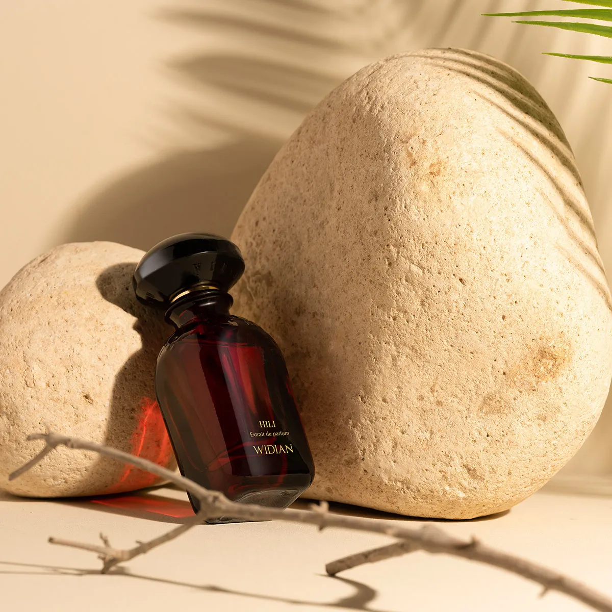 Widian Hili edp 100 мл 1