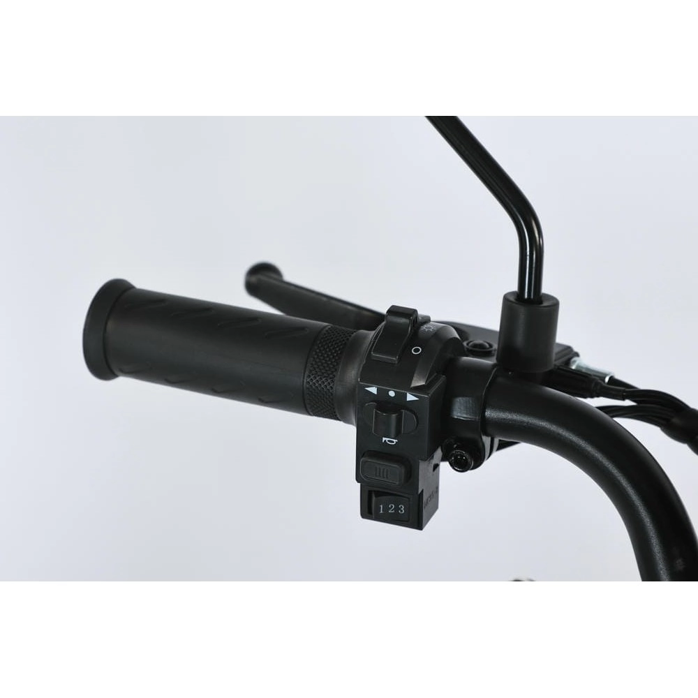 Электровелосипед SmartBalance Corsa 20 Ah 6